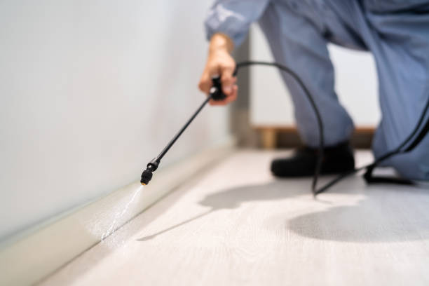 Rodent Entry Point Assessment in Grosse Pointe Woods