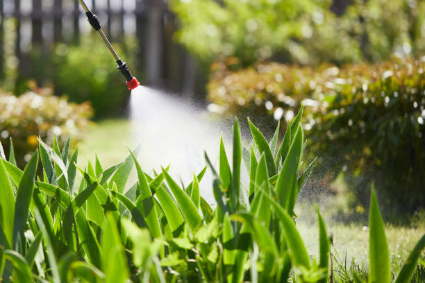 Tamper-Resistant Bait Stations for Rodents in Grosse Pointe Woods