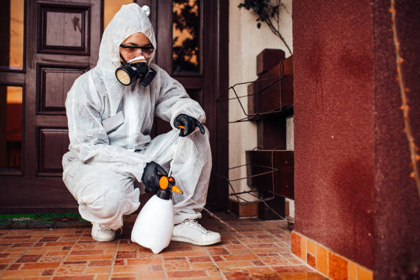 Attic and Crawl Space Rodent Treatment in Grosse Pointe Woods
