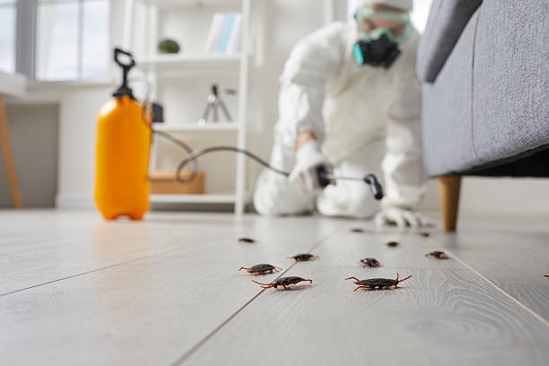 Commercial Rodent Management in Grosse Pointe Woods